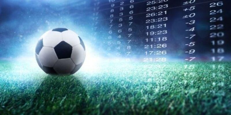 Dữ liệu chung khi tìm hiểu về kè 3.5/4