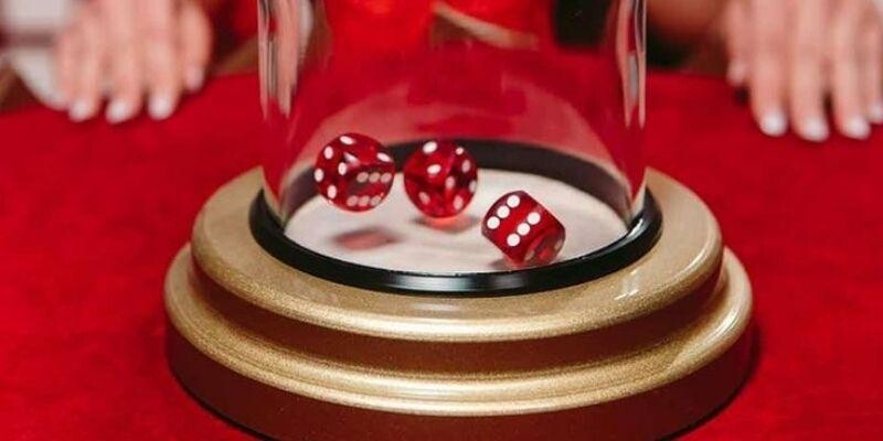 Một số lưu ý hội viên cần tuân thủ khi trải nghiệm R88